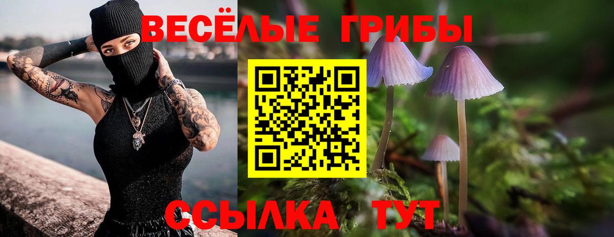 Псилоцибиновые грибы ЛСД Гудермес